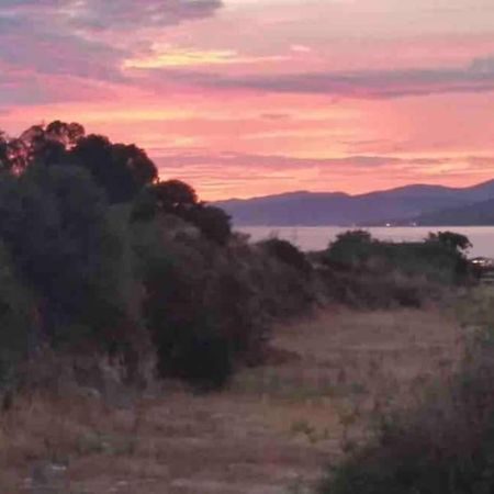 Logement 4Pers Proximite Plage Propriano  Exteriör bild