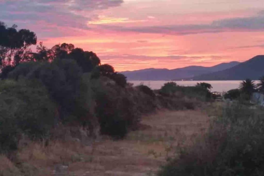 Logement 4Pers Proximite Plage Propriano  Exteriör bild